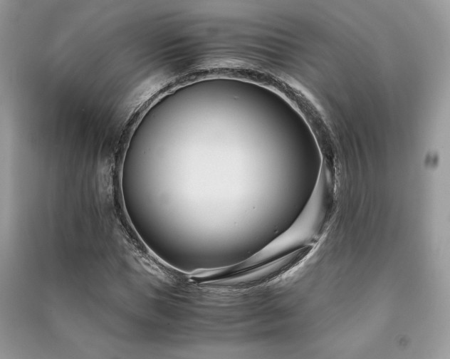 X0000091220921200708091405