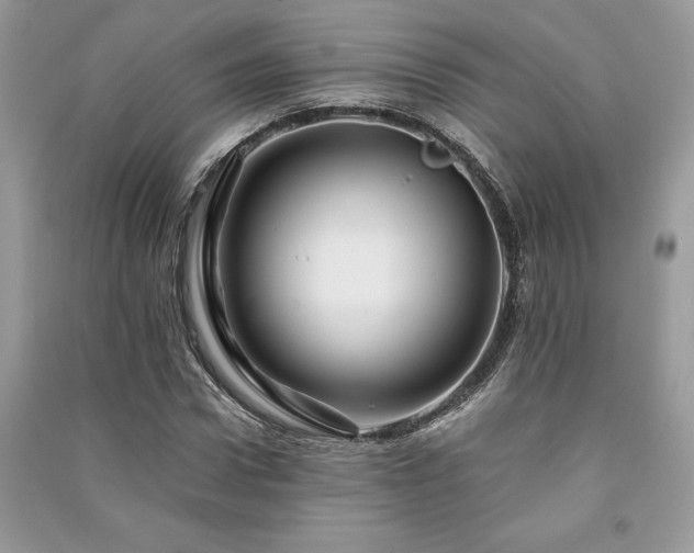 X0000091220922200708091405