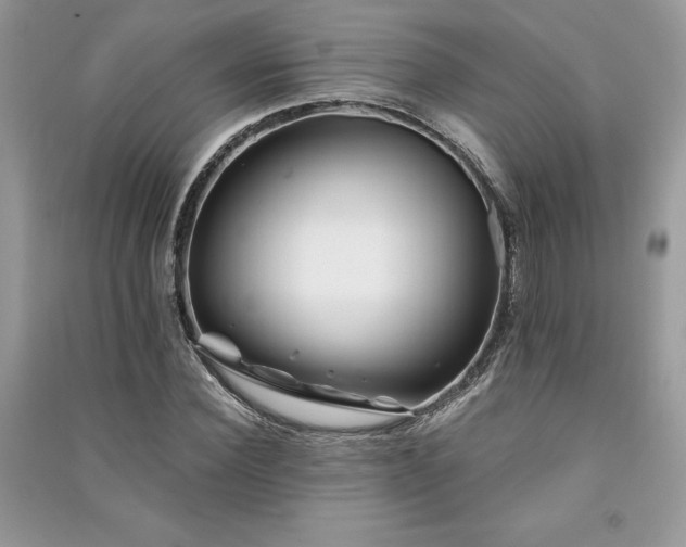 X0000091220924200708091405