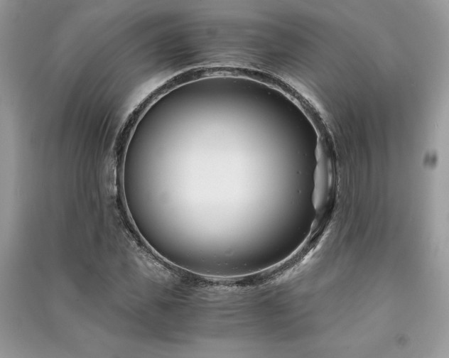 X0000091220925200708091405