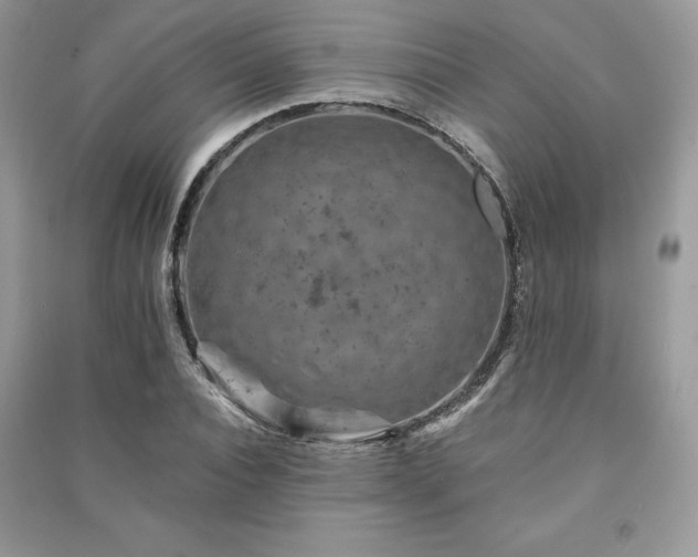 X0000091220928200708091405