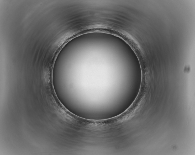 X0000091220929200708091405