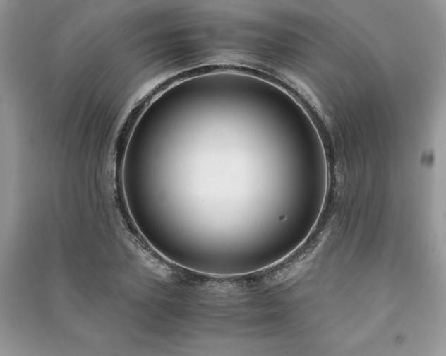 X0000091220931200708091405