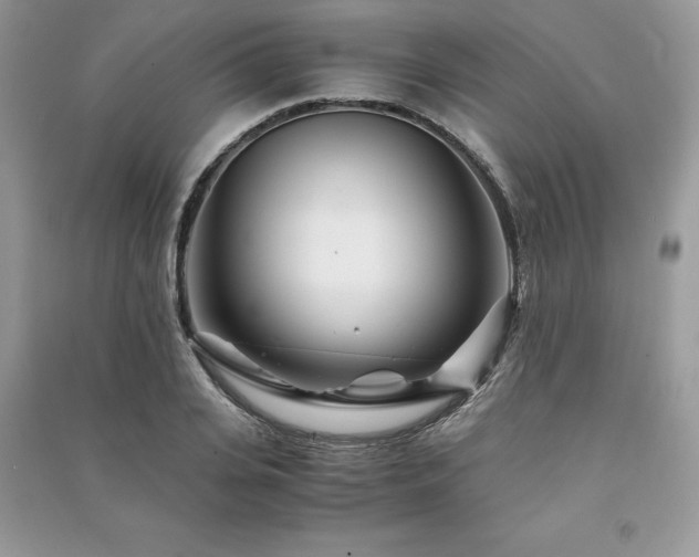 X0000091220935200708091405