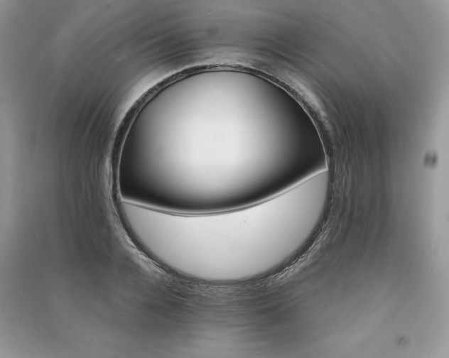X0000091220936200708091405