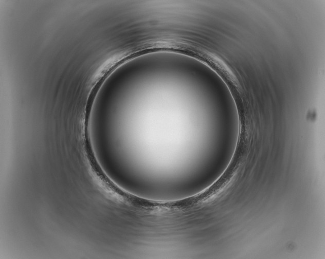 X0000091220938200708091405