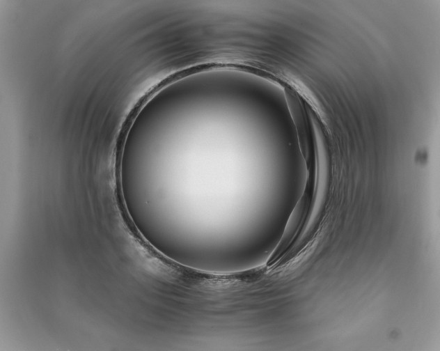 X0000091220939200708091405