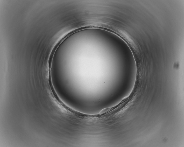 X0000091220940200708091405