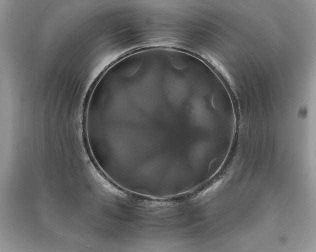 X0000091220941200708091405