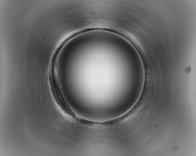 X0000091220942200708091405