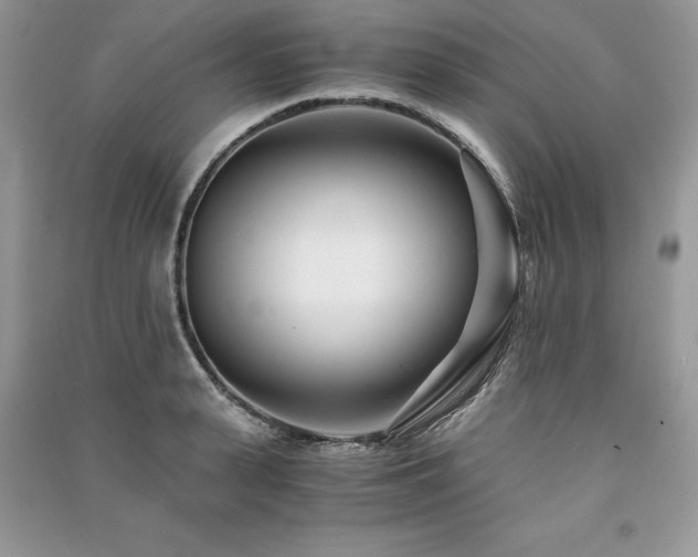 X0000091220943200708091405