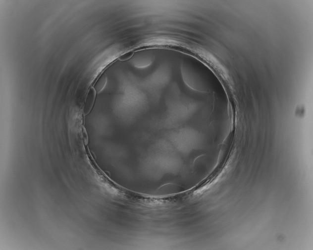 X0000091220945200708091406