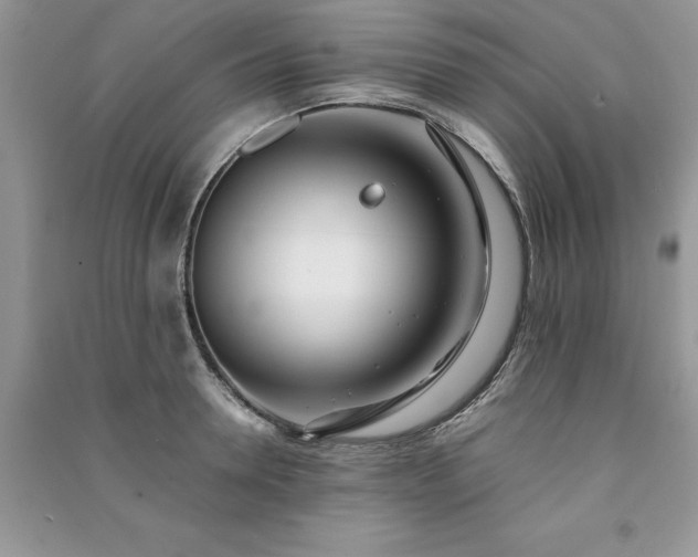 X0000091220946200708091406