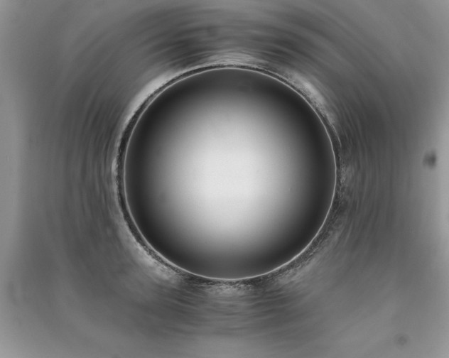 X0000091220947200708091406