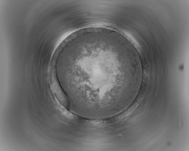 X0000091220948200708091406