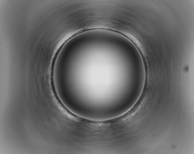 X0000091220949200708091406