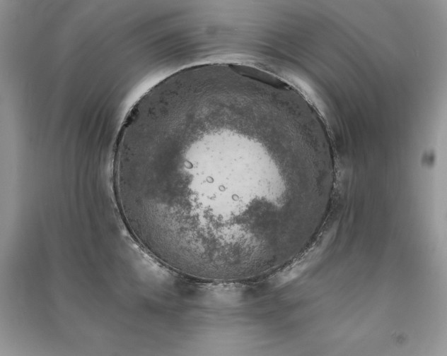 X0000091220952200708091406