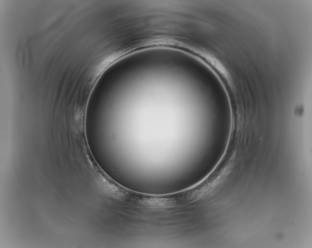 X0000091220953200708091406