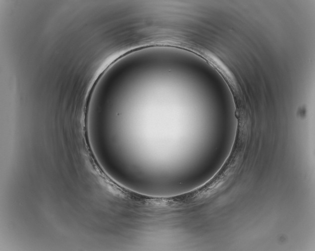 X0000091220956200708091406