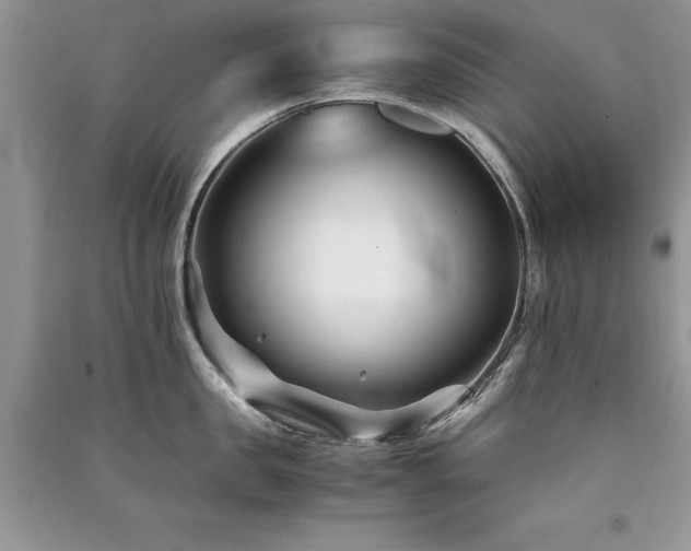 X0000091220957200708091406