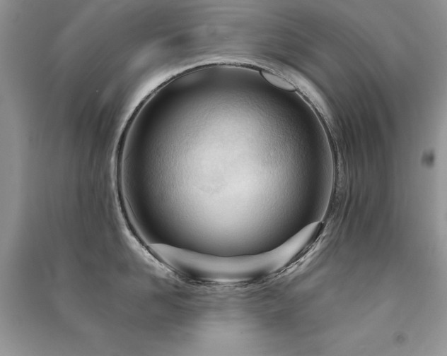 X0000091220958200708091406