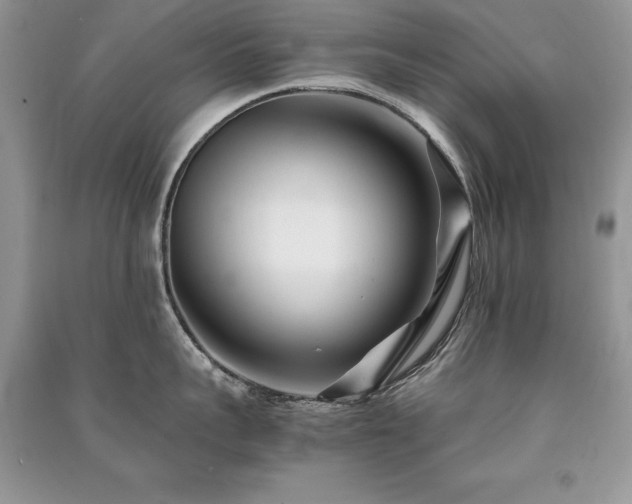 X0000091220959200708091406