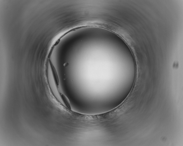X0000091220960200708091406
