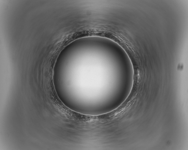 X0000091220961200708091405