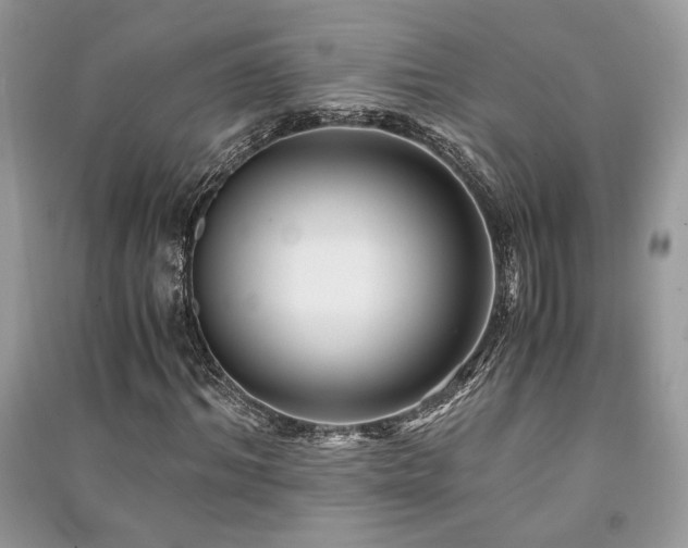 X0000091220964200708091405