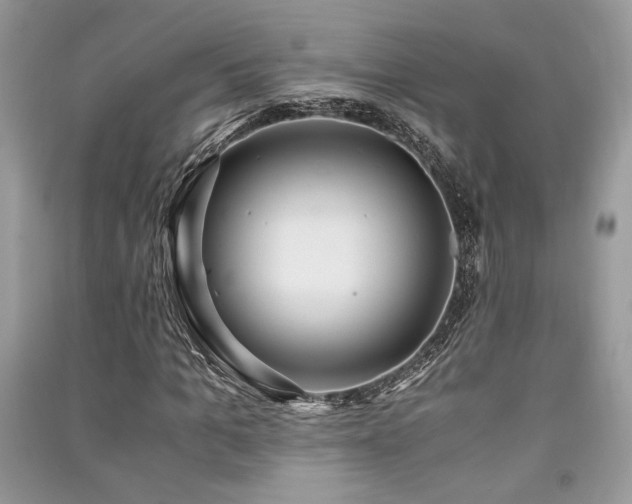 X0000091220965200708091405