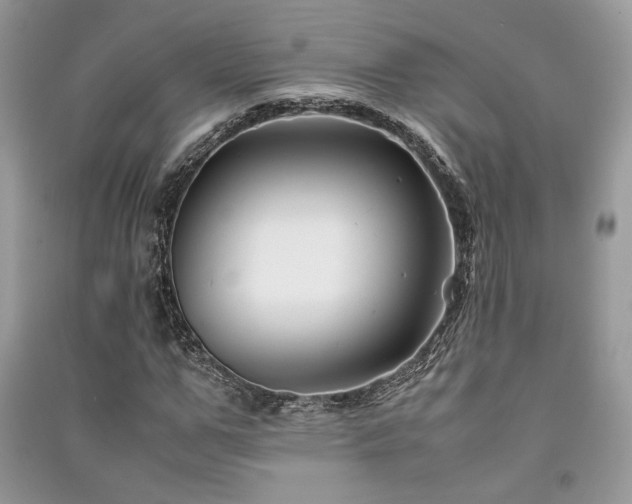 X0000091220967200708091405