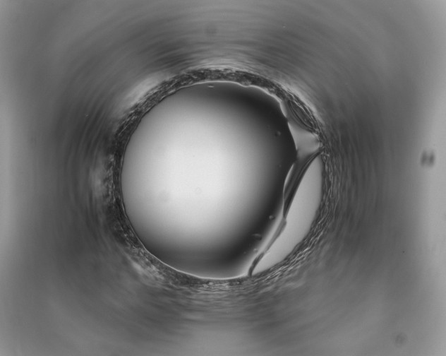 X0000091220968200708091405