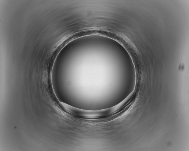 X0000091220969200708091405