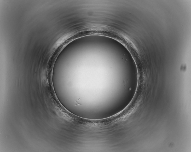 X0000091220970200708091405