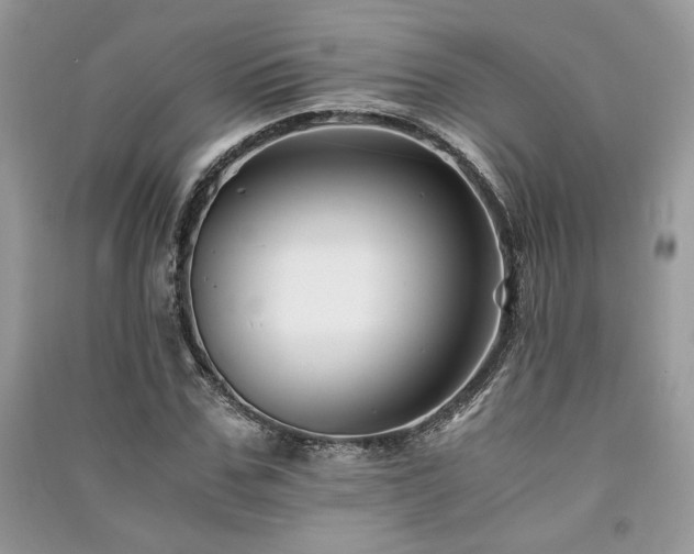 X0000091220971200708091405