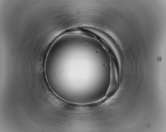 X0000091220977200708091405