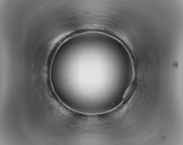 X0000091220979200708091405