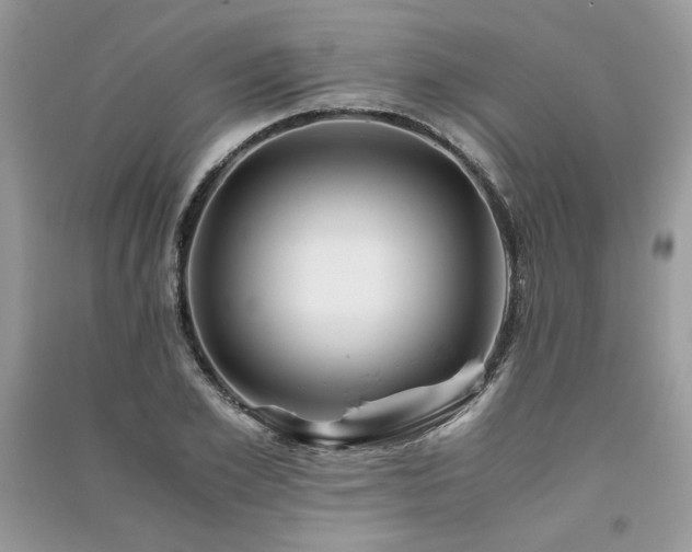 X0000091220981200708091405