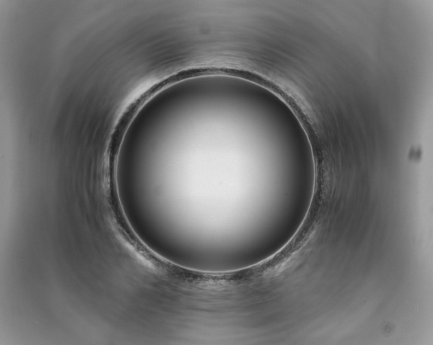 X0000091220982200708091405
