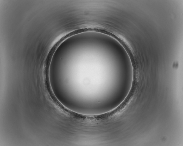 X0000091220983200708091405