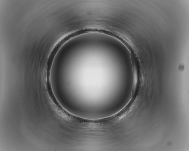X0000091220984200708091405