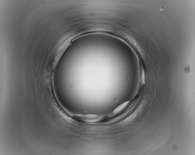 X0000091220985200708091405