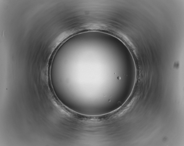 X0000091220986200708091405