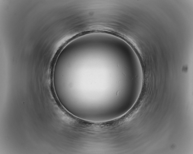 X0000091220987200708091405