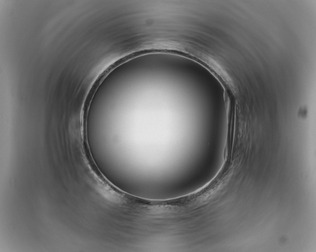 X0000091220988200708091405
