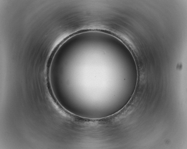 X0000091220990200708091405