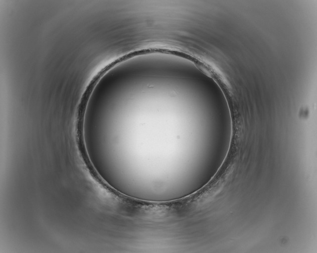X0000091220991200708091405