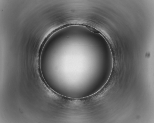 X0000091220992200708091405