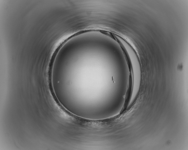 X0000091220995200708091405