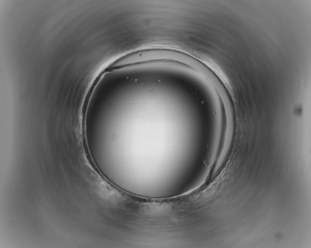 X0000091220996200708091405